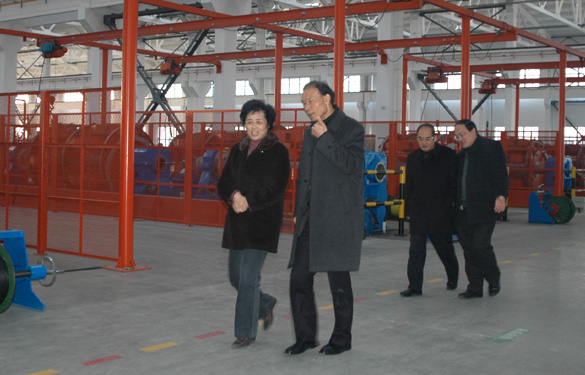 江苏省经信委副主任顾瑜芳一行来AG一飞冲天调研