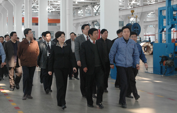 安徽省天长市党政代表团百余人来AG一飞冲天集团旅行考察