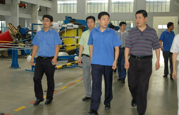 淮南市王市长一行来AG一飞冲天旅行考察