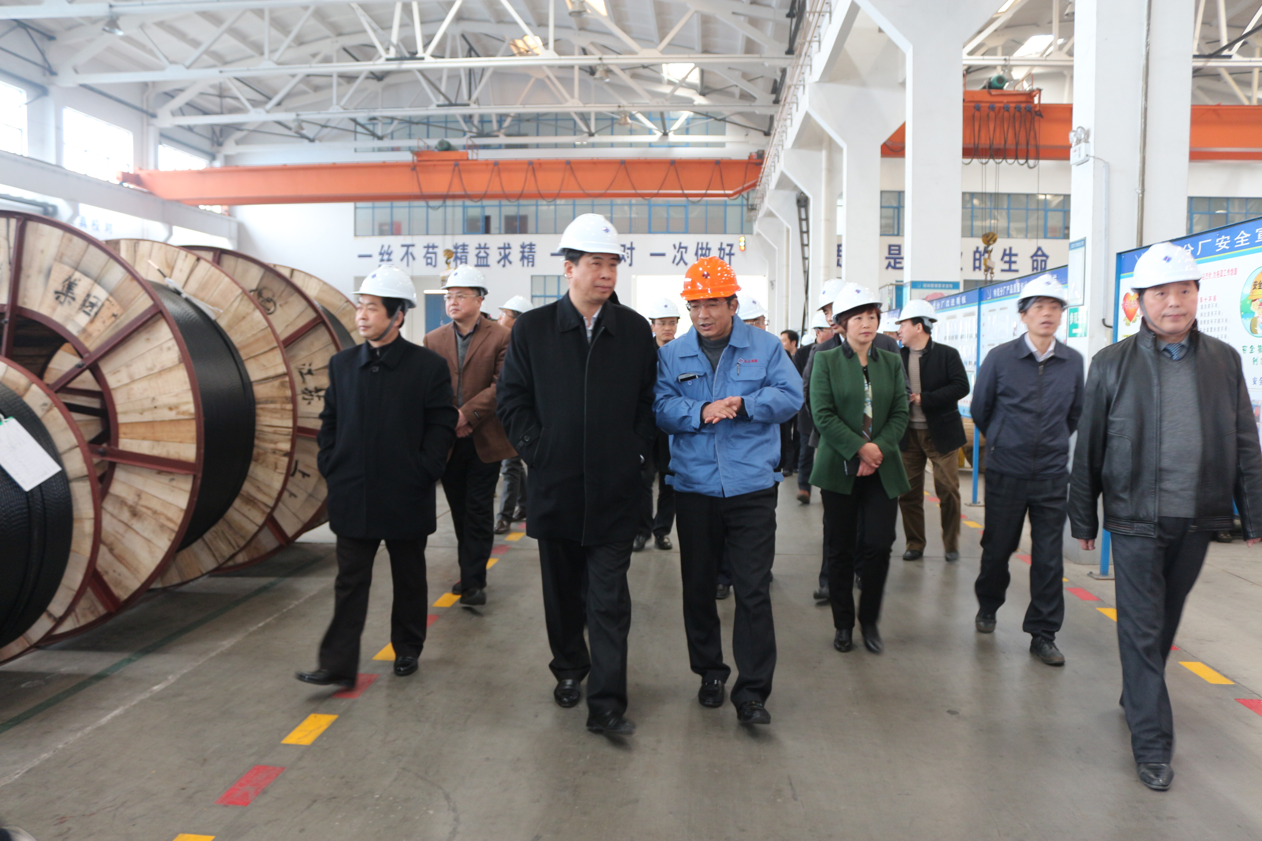 2015年3月11日，，，安徽省和县党政代表团一行来AG一飞冲天电缆考察