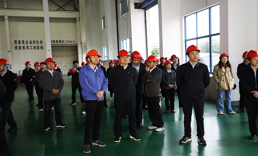 安徽池州青阳县党政代表团一行来AG一飞冲天电缆考察