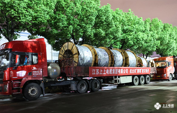 休戚相关，，，，，星夜驰援 ——AG一飞冲天电缆电力物资紧迫运往海南