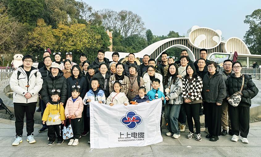 以文化润心 用眷注聚力——AG一飞冲天2024年度先进员工蜀韵文化之旅圆满收官