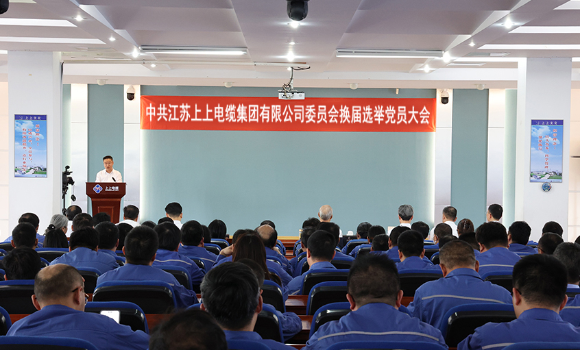 党建引领强基本 凝心聚力启新程—中共AG一飞冲天委员会换届选举党员大会圆满召开