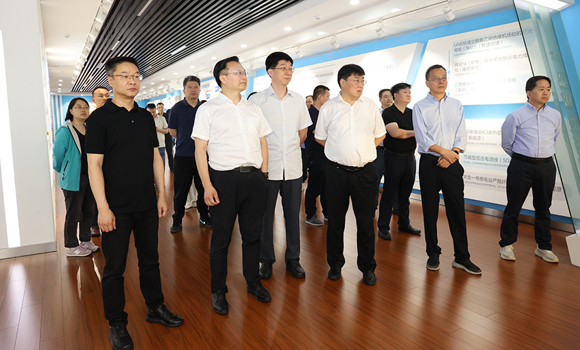 长三角信息化专题组一行来AG一飞冲天电缆调研