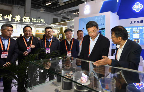 江苏省委常委、常务副省长马欣莅临AG一飞冲天展位-2.jpg